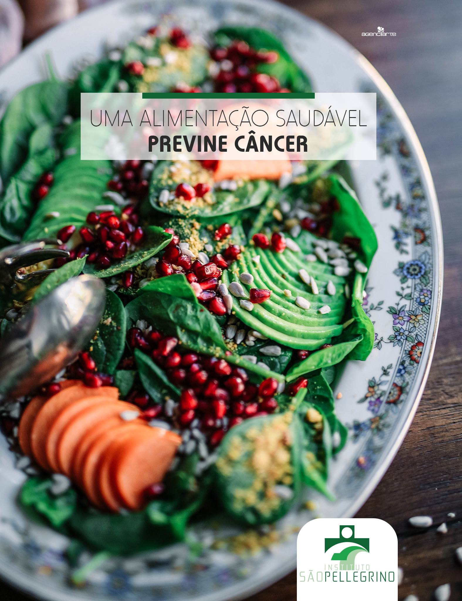 ALIMENTAÇÃO E A PREVENÇÃO DO CÂNCER